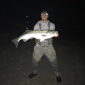 Meet your Posher, Tommy